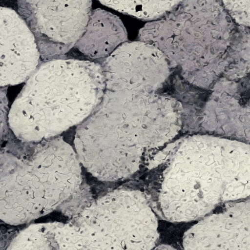 Paper Image 1